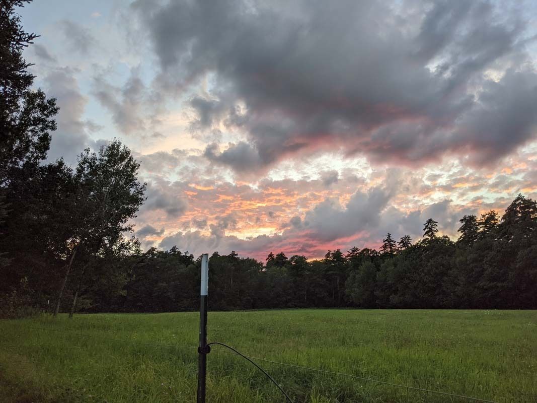 field and sky